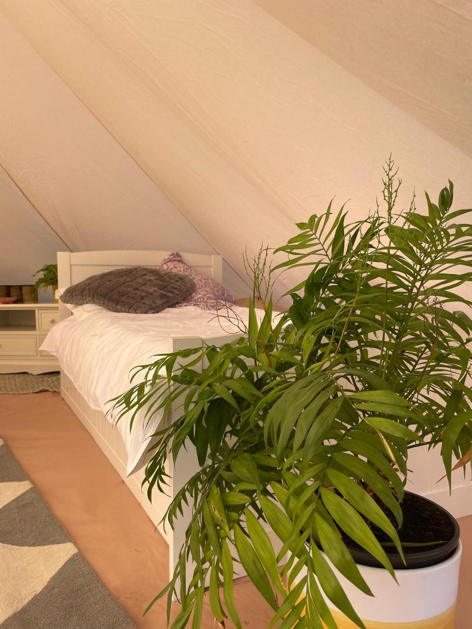 Trevena Cross Glamping & Camping Хелстън Екстериор снимка